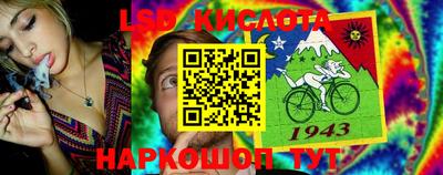 винт Славянск-на-Кубани