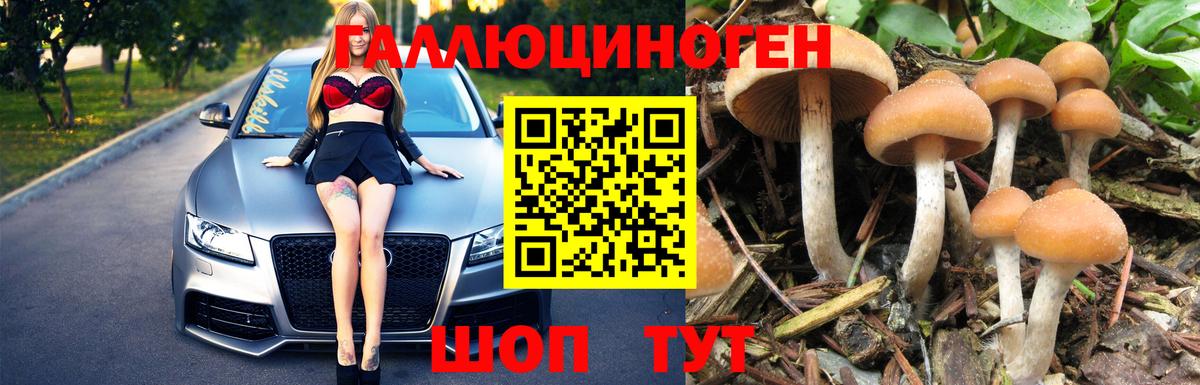 Псилоцибиновые грибы мухоморы Братск