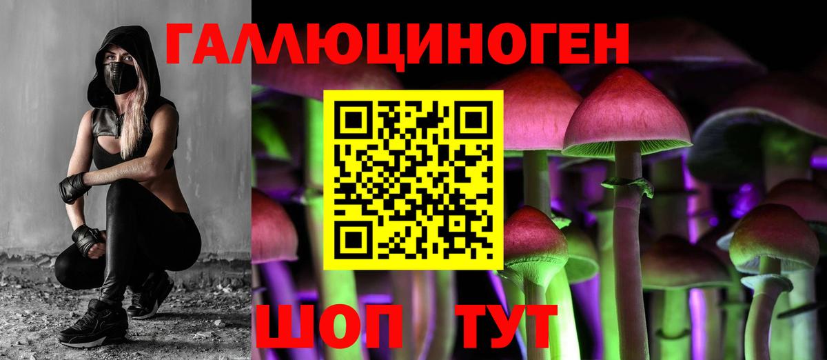 Братск  Псилоцибиновые грибы GOLDEN TEACHER  Вход с VPN  Псилоцибиновые грибы Magic Shrooms 